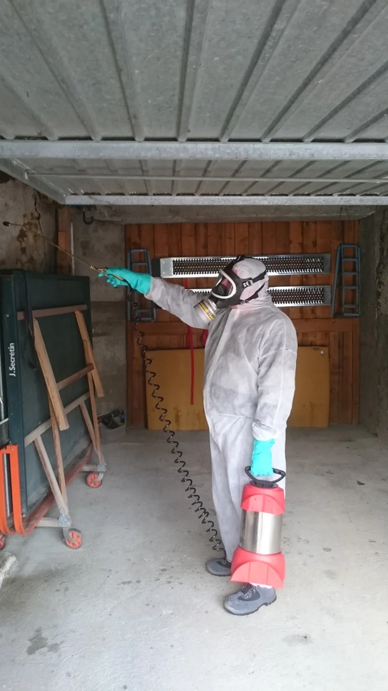 Technicien Attacnuisible37 en intervention de désinfection — combinaison de protection, Tours Indre-et-Loire